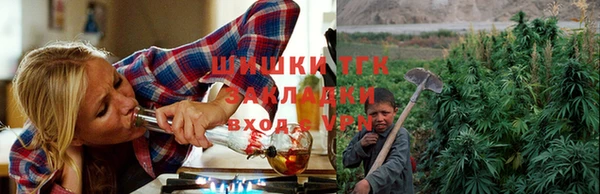 гашик Нефтекумск