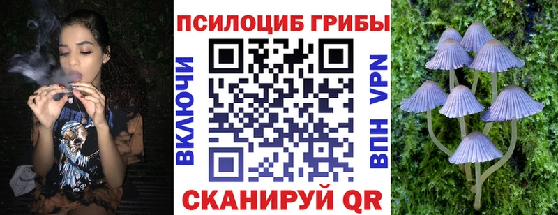Галлюциногенные грибы мицелий Беломорск